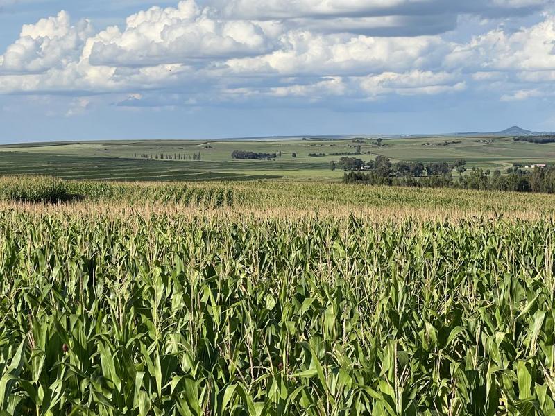 0 Bedroom Property for Sale in Bethlehem Rural Free State